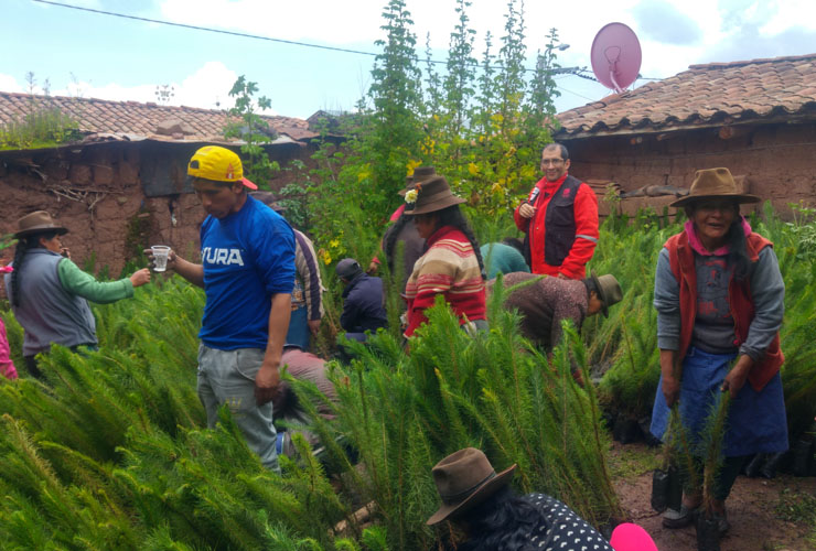 En Apurimac, Perú, cuatro comunidades participan de un programa integral de desarrollo, financiado por el Gobierno de Navarra. Han puesto en marcha viveros forestales para luego resforestar un total de 100 hectareas de bosque de especies nativas.