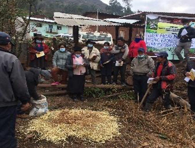 Gracias a la diversificación de los cultivos y el aumento de la productividad en la actividad agropecuaria tendrán acceso a una dieta sana y nutritiva a partir de la producción local.