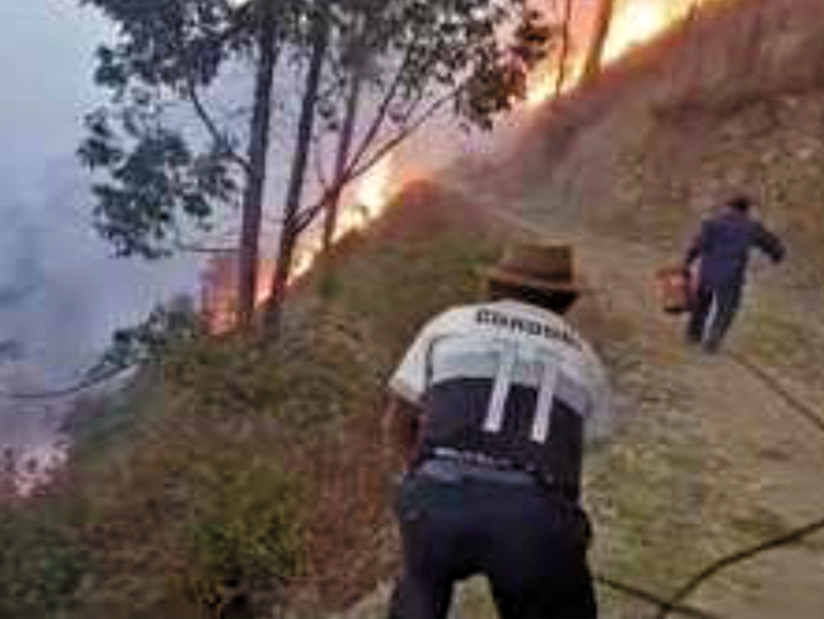 FUNDACIÓN RODE ATENCIÓN A 25 FAMILIAS DEL SECTOR PUCCLLAYPAMPA FRENTE A LAS EMERGENCIA SUSCITADA POR INCENDIOS FORESTALES. CAYPE. ABANCAY. LAMBRAMA. PERÚ