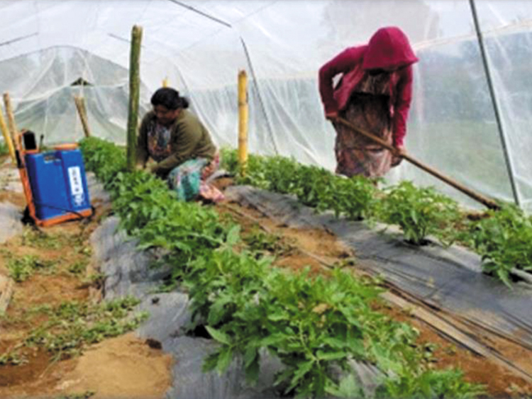 fundacion rode FORMACIÓN PARA LA GESTIÓN DEL AGUA DE LA LLUVIA Y TRATAMIENTO DE AGUAS GRISES EN COMUNIDADES INDIÍGENAS. CHIMALTENANGO. GUATEMALA